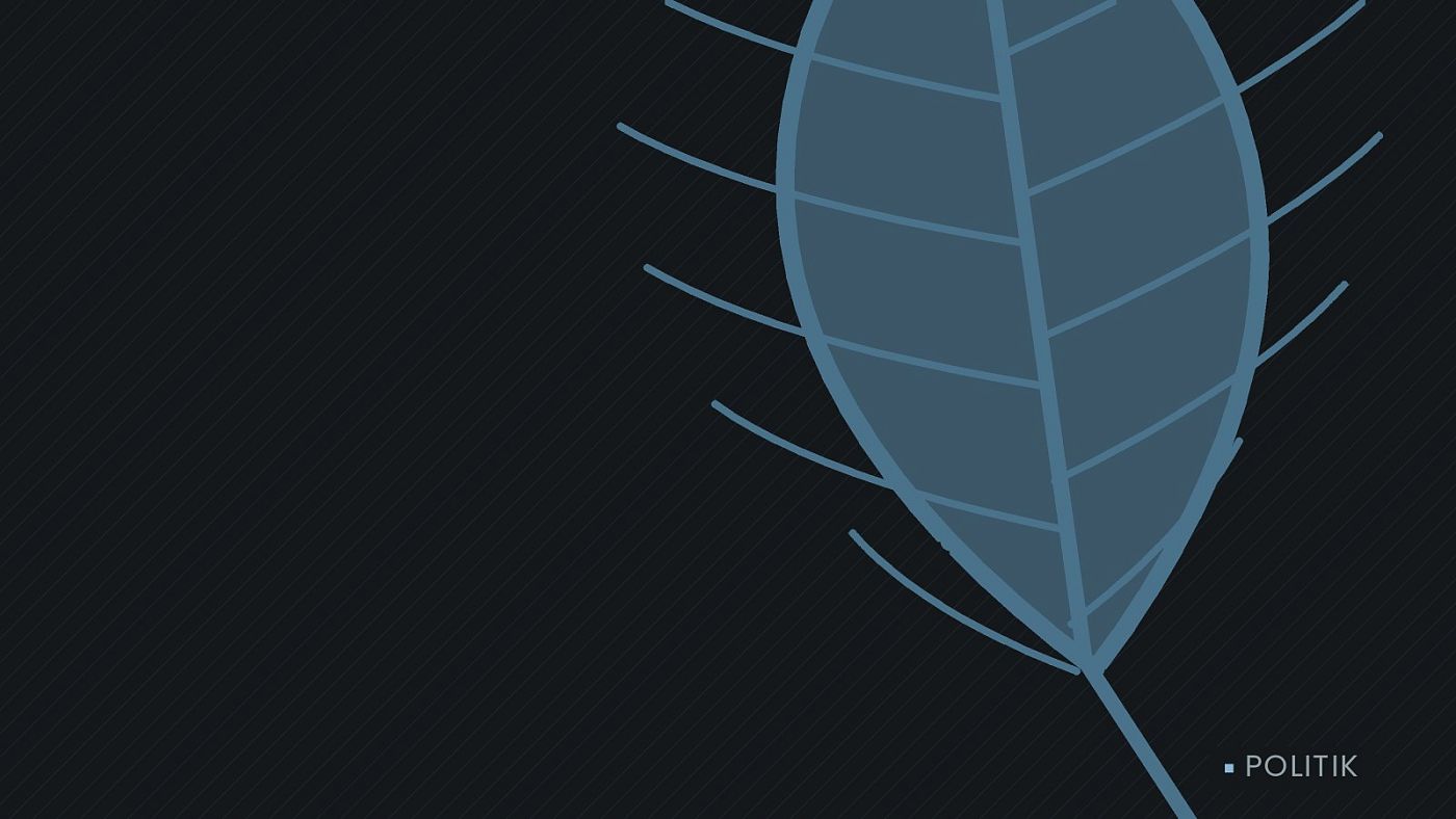 Symbolgrafik: ein gezeichnetes Blatt als Zeichen für Umwelt und Klima.