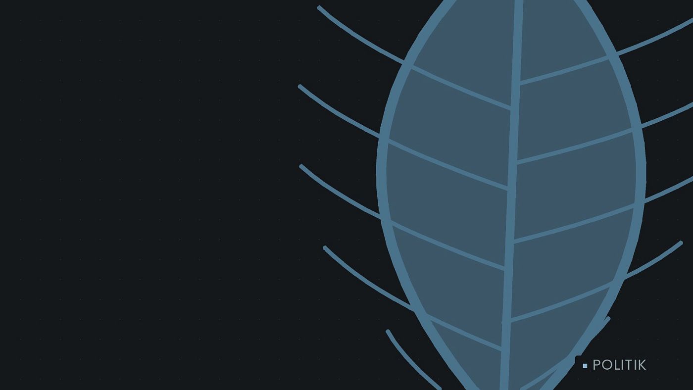 Symbolgrafik: ein gezeichnetes Blatt als Zeichen für Umwelt und Klima.