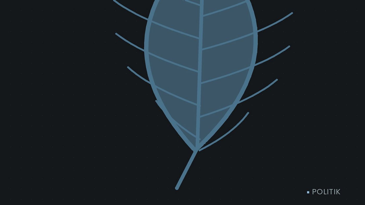 Symbolgrafik: ein gezeichnetes Blatt als Zeichen für Umwelt und Klima.