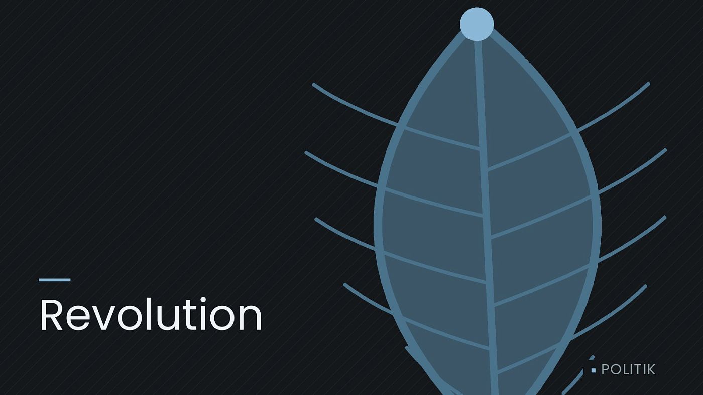 Symbolgrafik: ein gezeichnetes Blatt als Zeichen für Umwelt und Klima, beschriftet mit „Revolution“.
