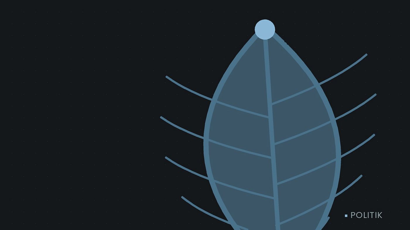 Symbolgrafik: ein gezeichnetes Blatt als Zeichen für Umwelt und Klima.