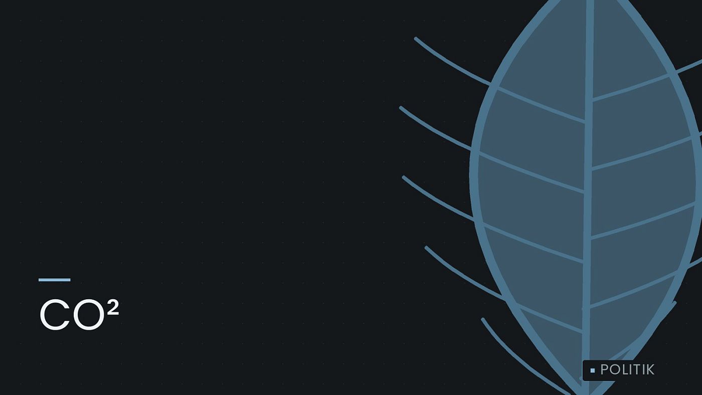 Symbolgrafik: ein gezeichnetes Blatt als Zeichen für Umwelt und Klima, beschriftet mit „CO²“.
