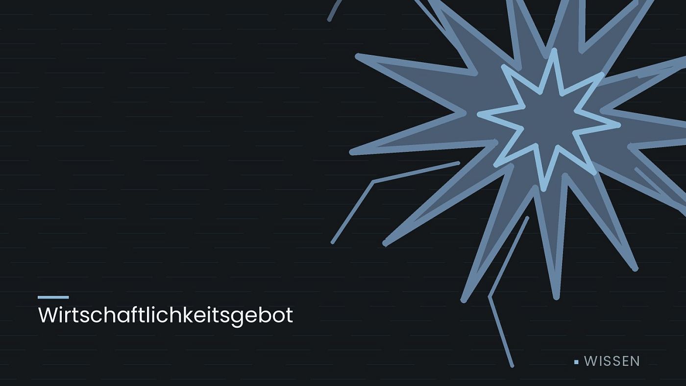 Symbolgrafik: eine sternförmige Aufprallmarke, beschriftet mit „Wirtschaftlichkeitsgebot“.