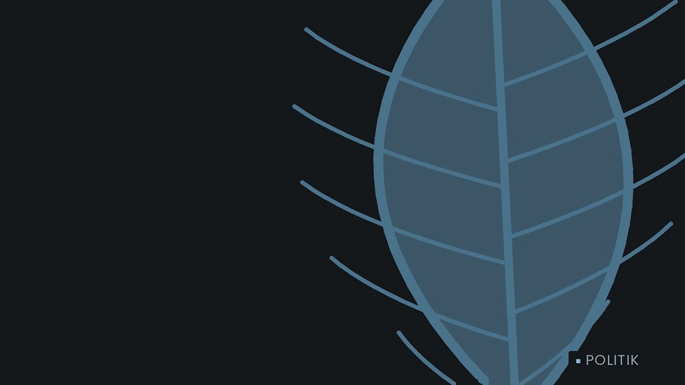 Symbolgrafik: ein gezeichnetes Blatt als Zeichen für Umwelt und Klima.