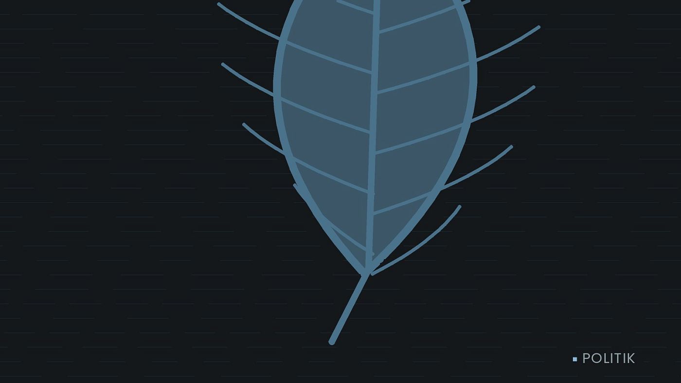 Symbolgrafik: ein gezeichnetes Blatt als Zeichen für Umwelt und Klima.