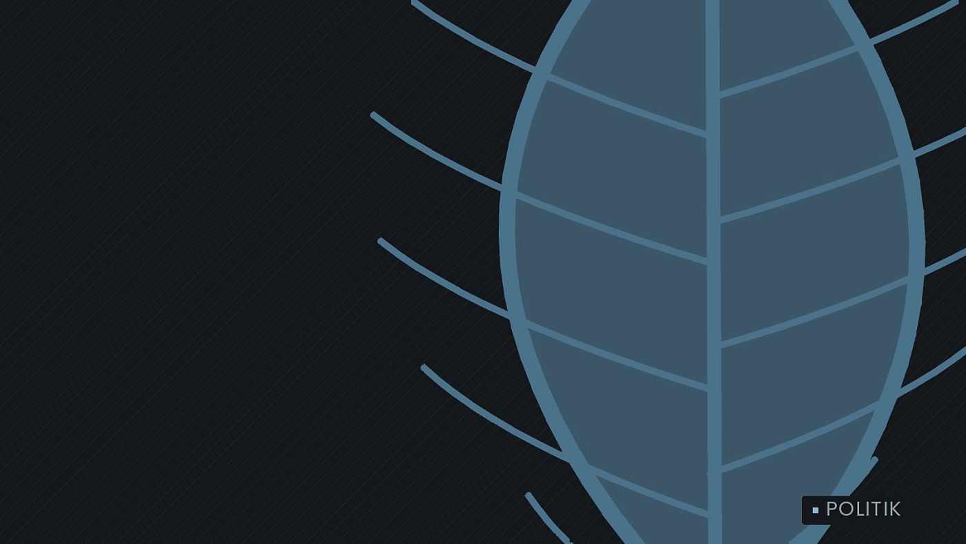 Symbolgrafik: ein gezeichnetes Blatt als Zeichen für Umwelt und Klima.
