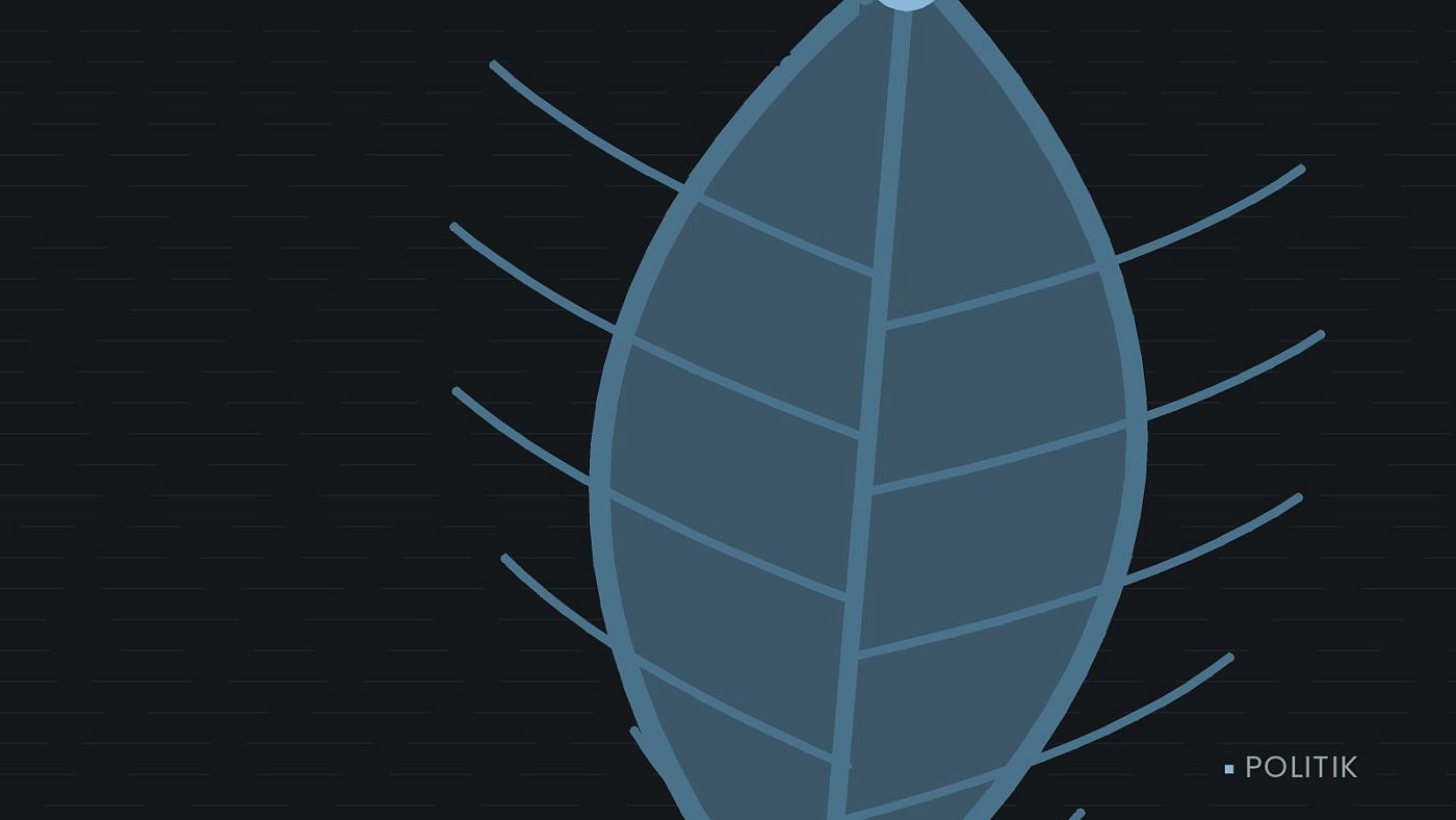 Symbolgrafik: ein gezeichnetes Blatt als Zeichen für Umwelt und Klima.