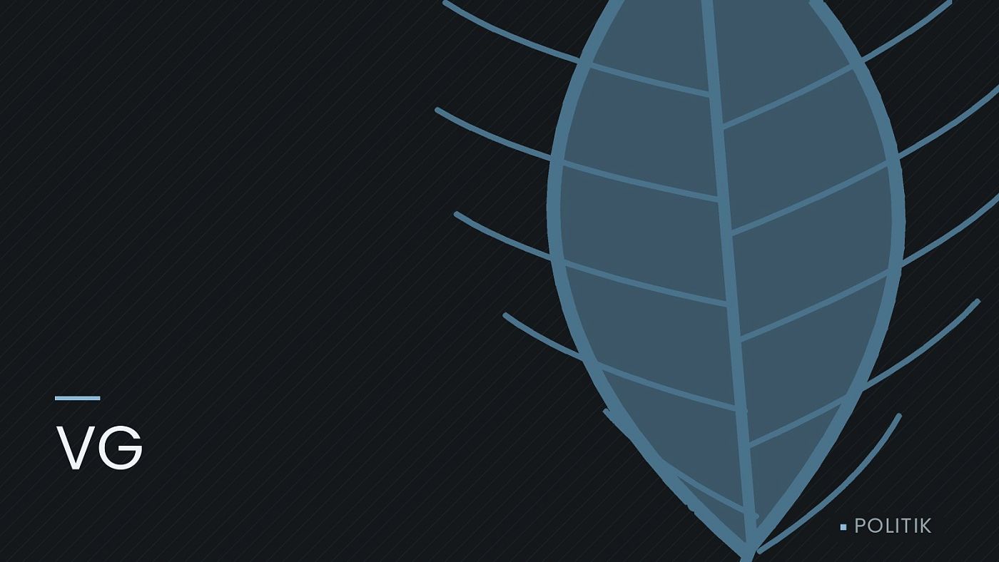 Symbolgrafik: ein gezeichnetes Blatt als Zeichen für Umwelt und Klima, beschriftet mit „VG“.