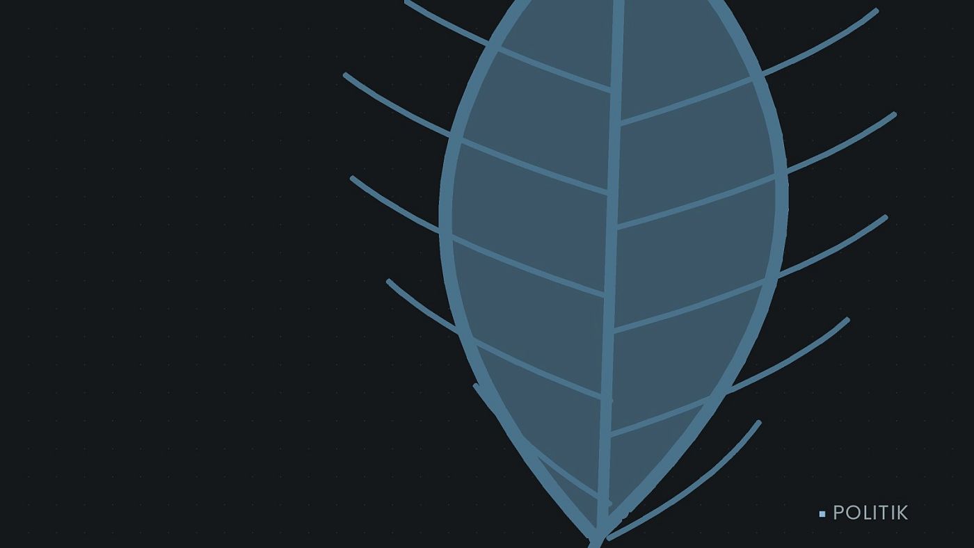 Symbolgrafik: ein gezeichnetes Blatt als Zeichen für Umwelt und Klima.