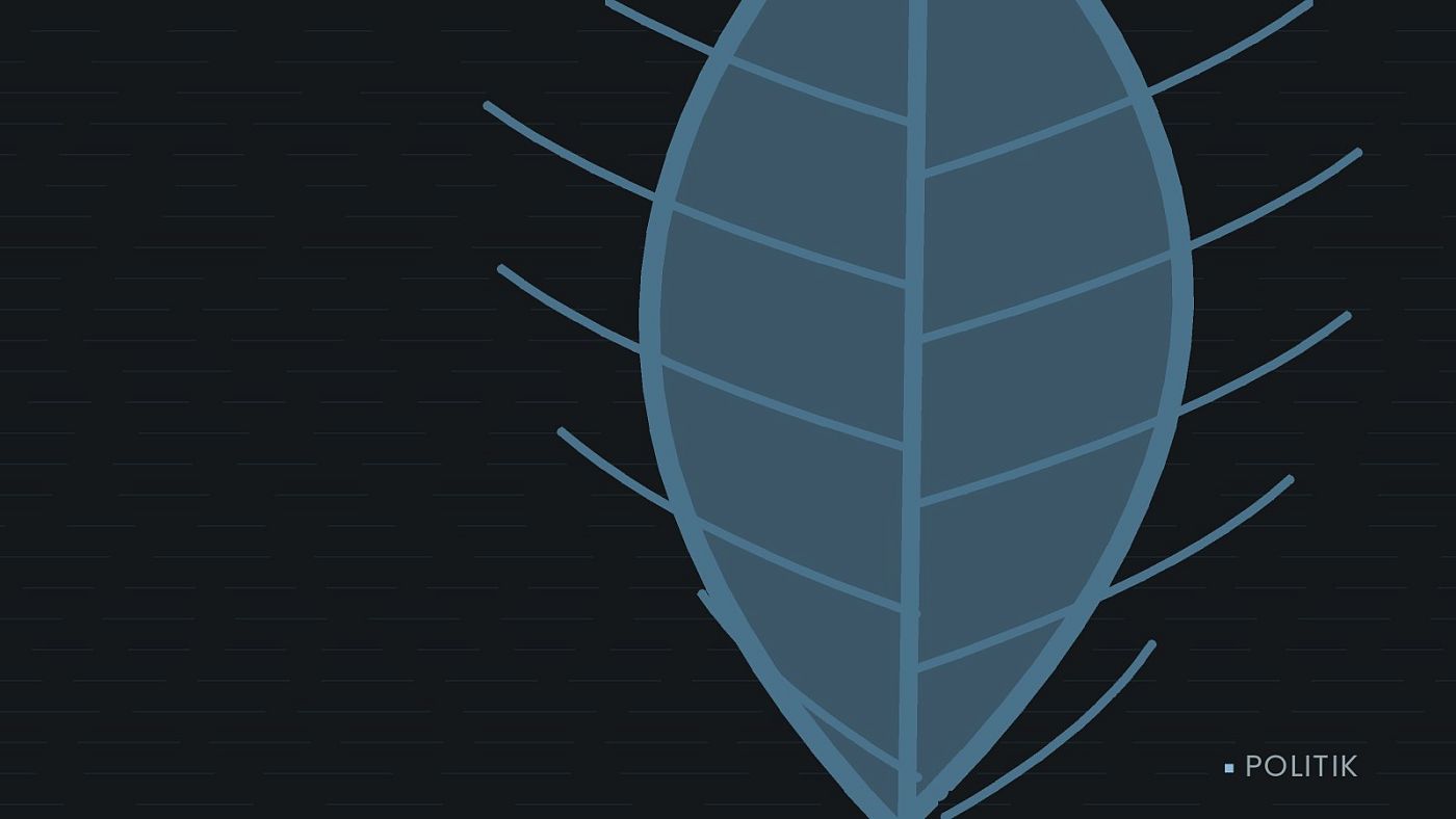 Symbolgrafik: ein gezeichnetes Blatt als Zeichen für Umwelt und Klima.